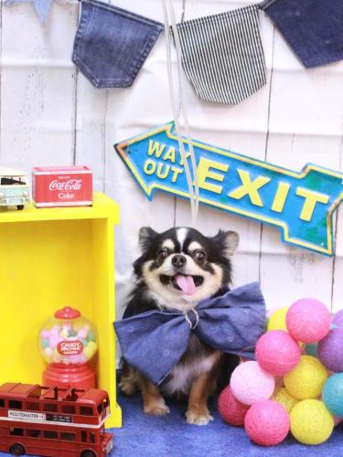 20230415ごまくん